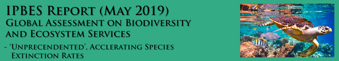 Science - Breaking - Intergovernmental Panel on Biodiversity and Ecosystem Services Report - May 2019